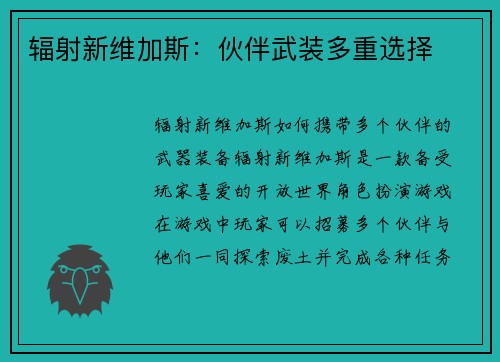 辐射新维加斯：伙伴武装多重选择
